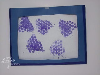 grape prints