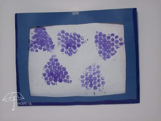 triangle of purple circles that look like grape clusters grape prints