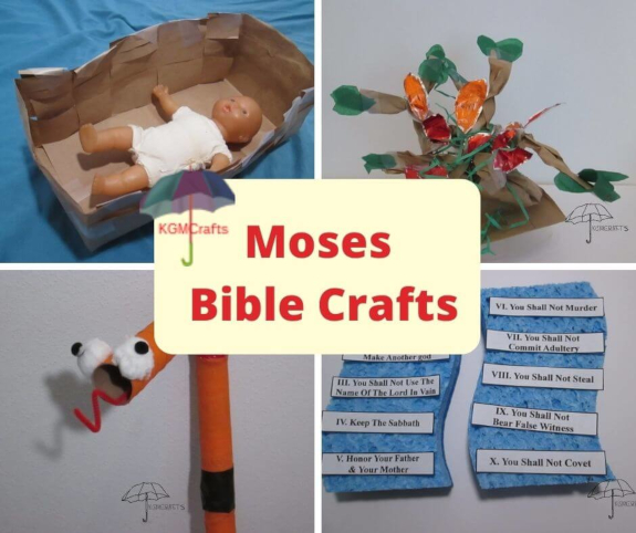 MosesBibleCraftsfp575.jpg