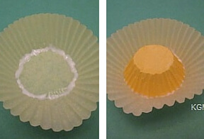 glue the liners together