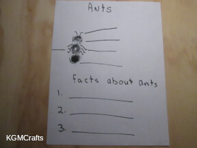 link to educational project