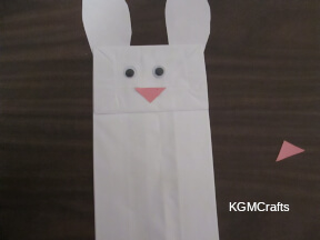 add the nose and eyes