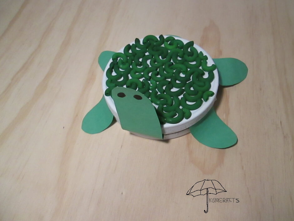 round box with green pasta recycled box turtle
