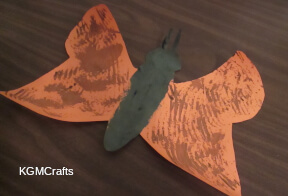 link to butterfly page