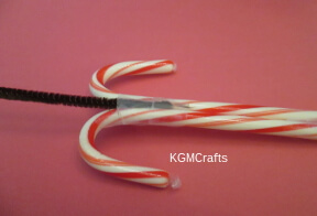 step 2 add pipe cleaner