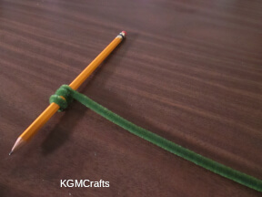wrap the pipe cleaner around the pencil