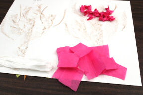 step 6 cut pink tissue