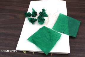 step 8 cut some green tissue