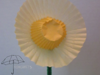 cupcake liner daffodil