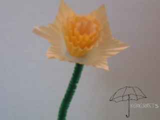 daffodil number 2