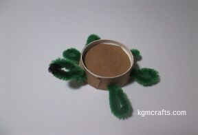 cup turtle