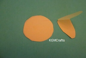 step 5 head and beak