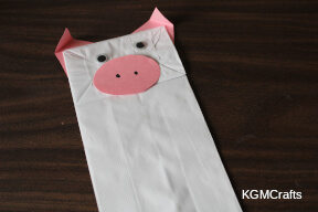 add the nose and eyes