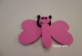 link to butterfly page