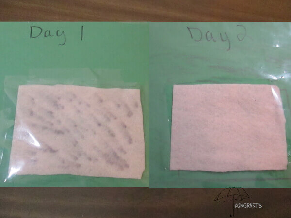 white felt on green background Wet and Dry fleece craft