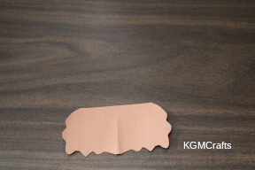 step 6 make the beard