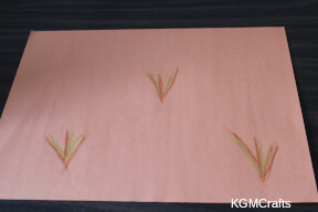 draw some plants on paper picture of manna step 1
