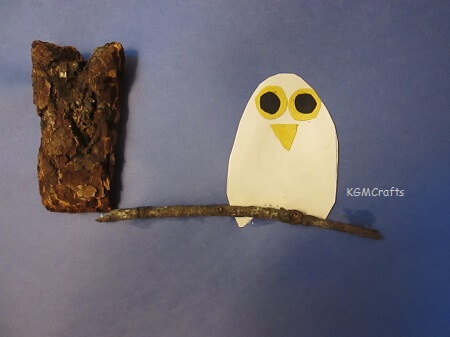 owl on lim made with bark and twig