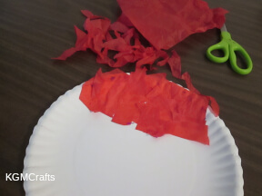 add tissue to the plate