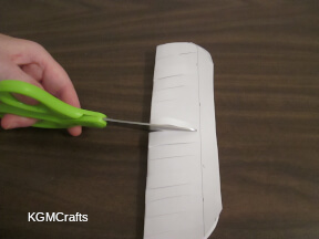 cut strips in the rectangle