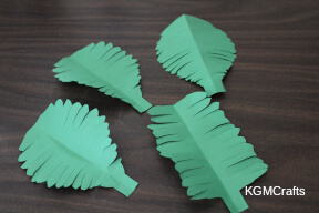 unfold and see palm branches