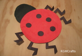 link to ladybug