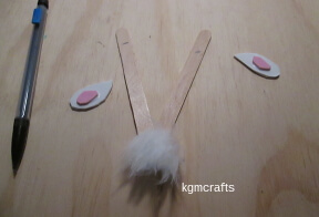 measure and place the ears