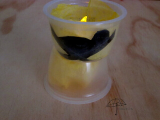 Jesus in the manger candle