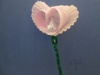 pink heart shaped flower for Valentine's Day